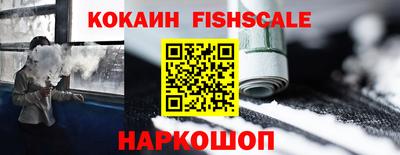 шишки Славгород