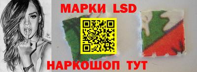 шишки Славгород