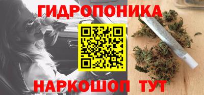 дурь Славянск-на-Кубани
