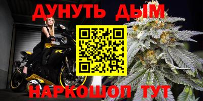 шишки Славгород