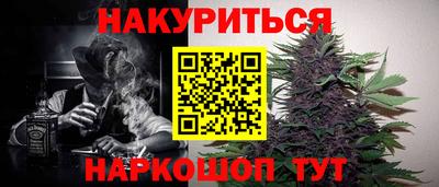 шишки Славгород