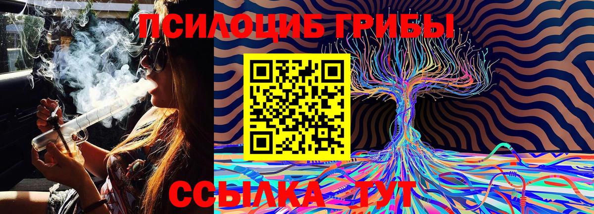 Галлюциногенные грибы Psilocybine cubensis Балашиха