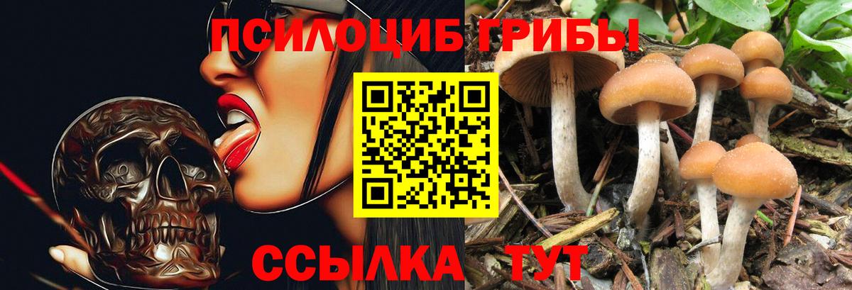 Псилоцибиновые грибы GOLDEN TEACHER  Псилоцибиновые грибы GOLDEN TEACHER  Вход с VPN  Балашиха 